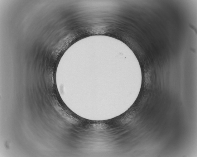 X0000103930541200810171754