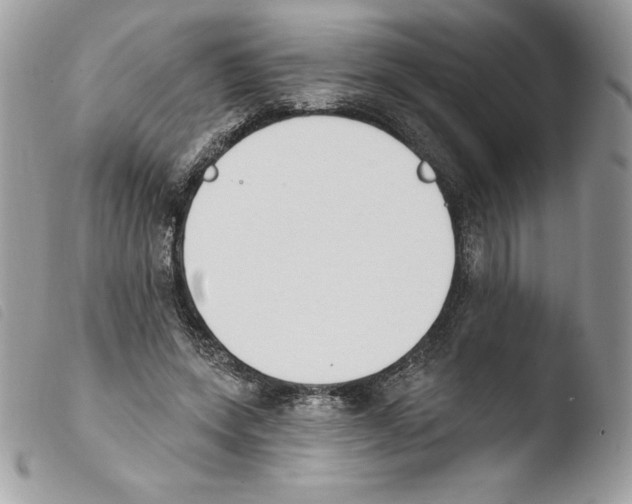 X0000103930543200810171754