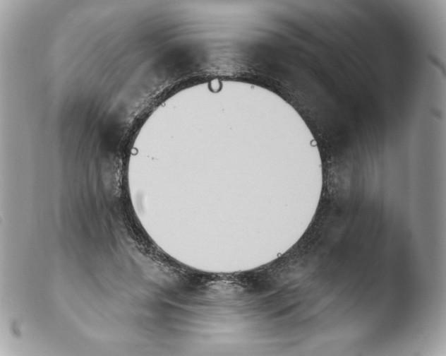 X0000103930544200810171754