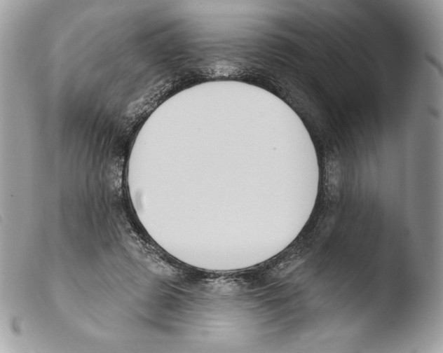 X0000103930545200810171754