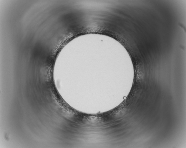 X0000103930546200810171754