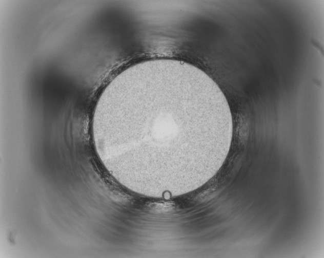 X0000103930548200810171754