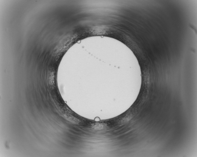 X0000103930549200810171754