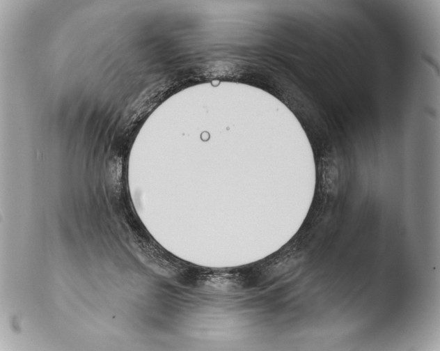 X0000103930550200810171754