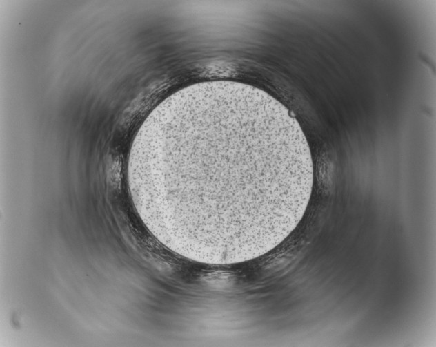 X0000103930551200810171754