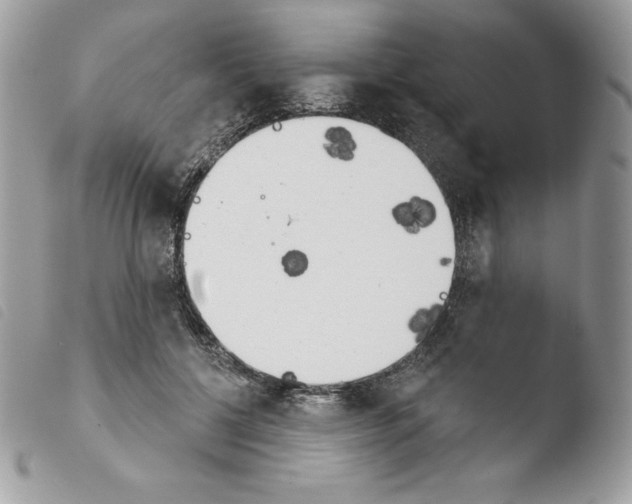 X0000103930552200810171754