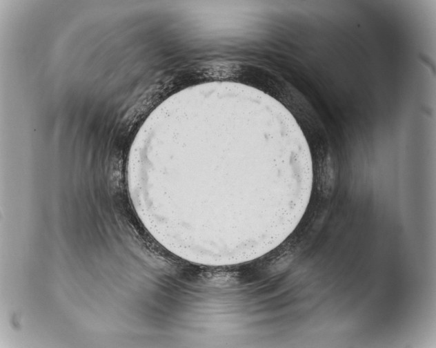 X0000103930553200810171754