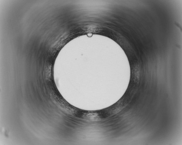 X0000103930554200810171754