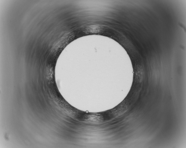 X0000103930555200810171754