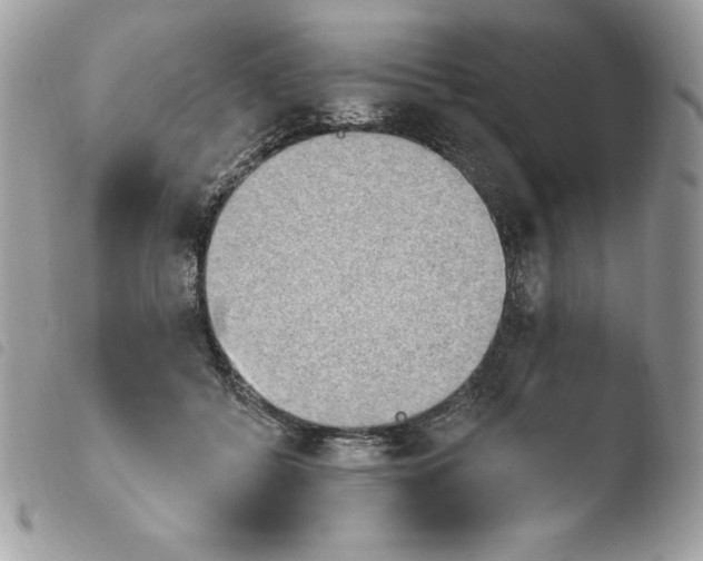 X0000103930556200810171754