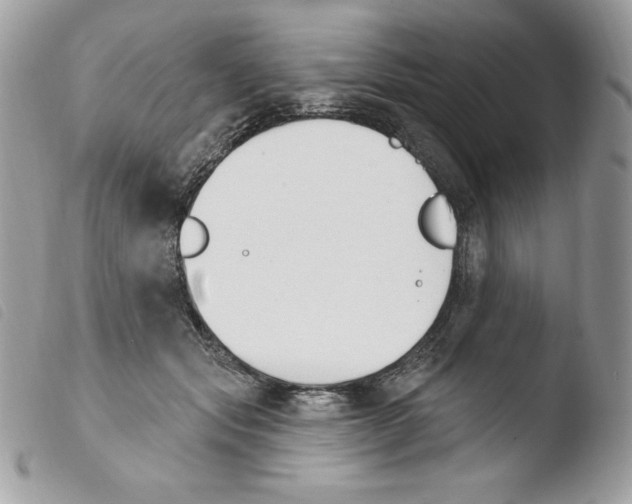 X0000103930557200810171754