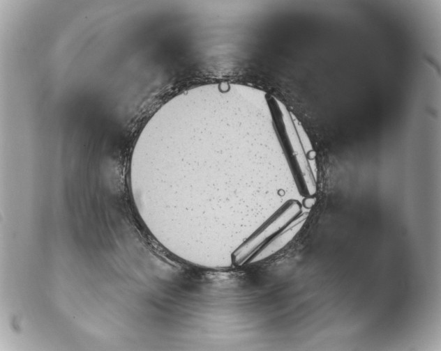 X0000103930558200810171754