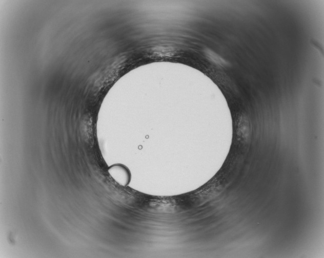 X0000103930559200810171754