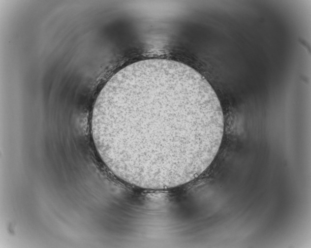 X0000103930560200810171754