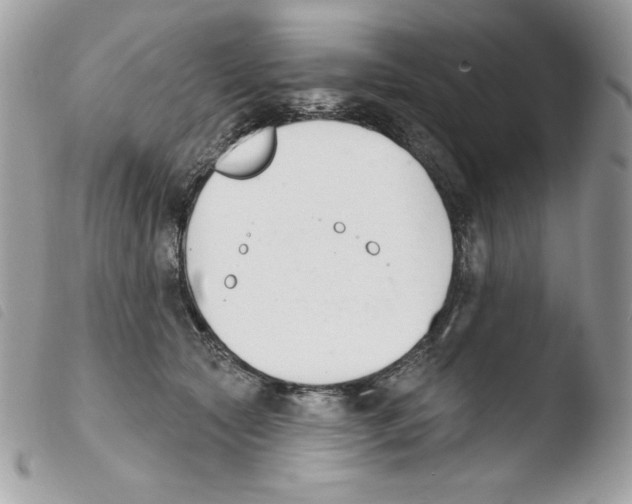 X0000103930561200810171754