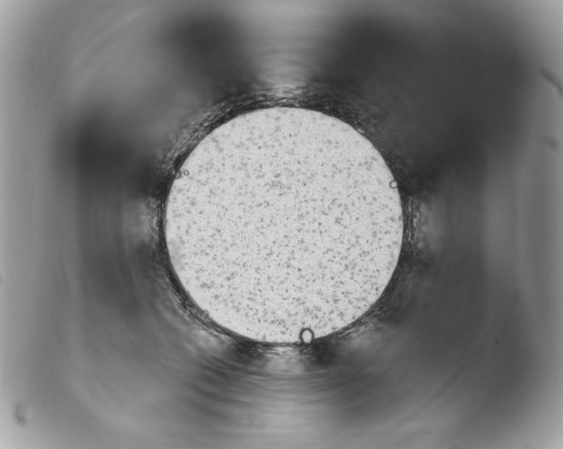 X0000103930562200810171754