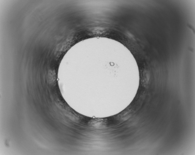 X0000103930563200810171754