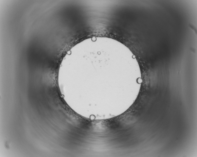 X0000103930564200810171754