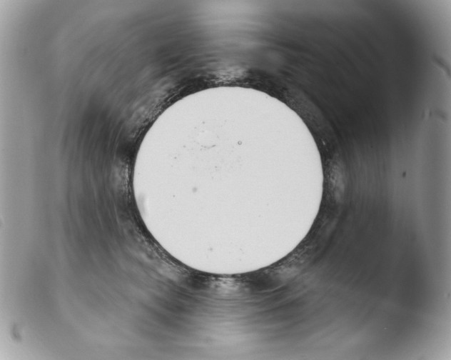 X0000103930565200810171754