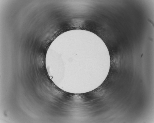 X0000103930566200810171754