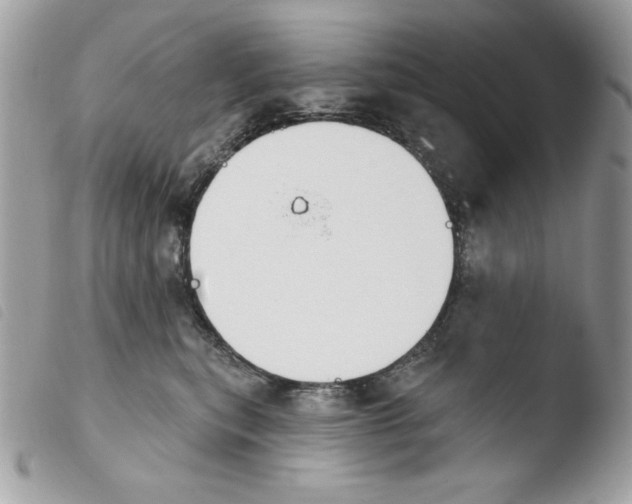 X0000103930567200810171754