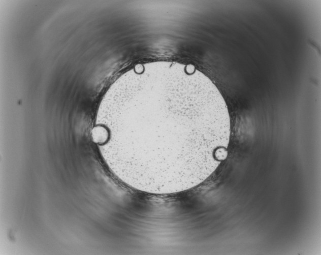 X0000103930568200810171754