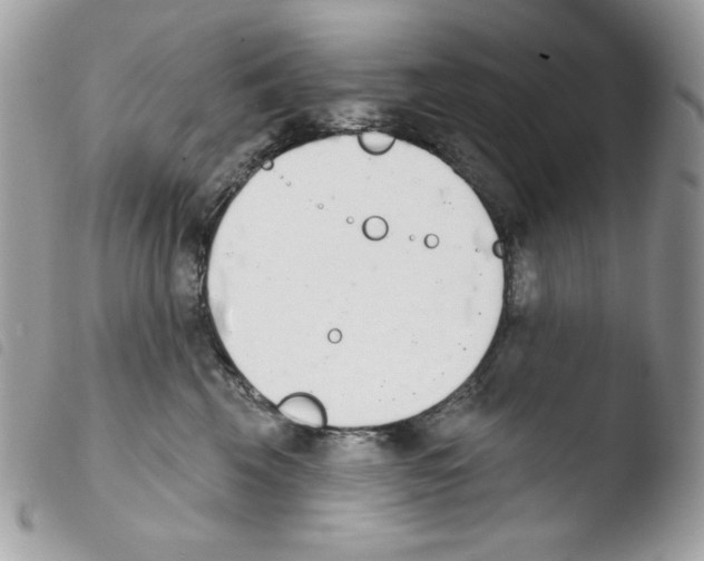 X0000103930569200810171754