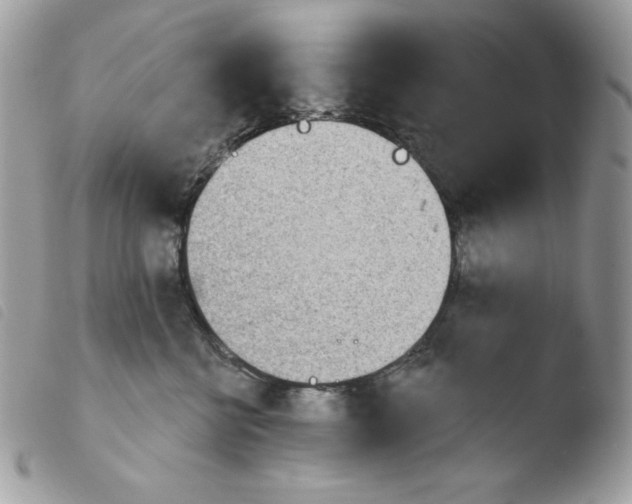 X0000103930570200810171754