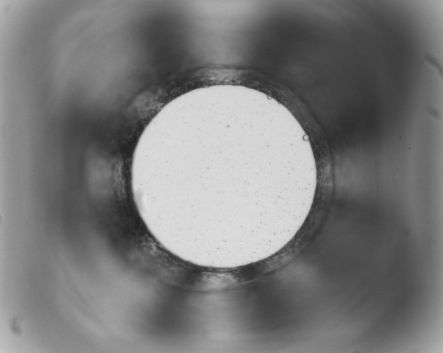 X0000103930572200810171754