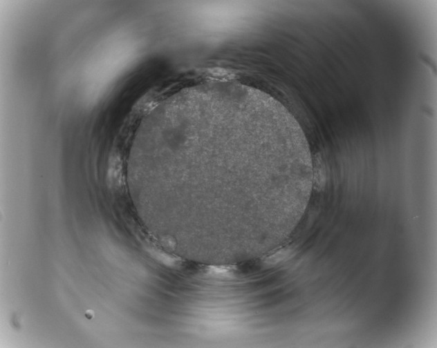 X0000103930573200810171754