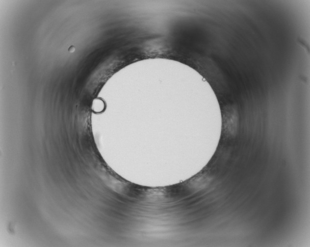 X0000103930574200810171754