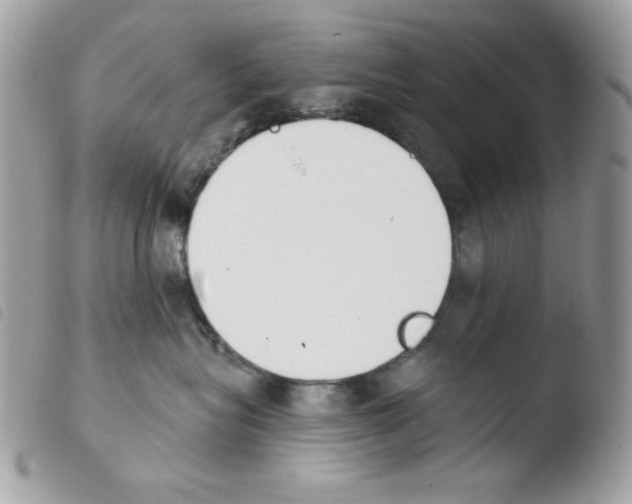 X0000103930575200810171754