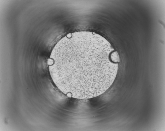 X0000103930576200810171754