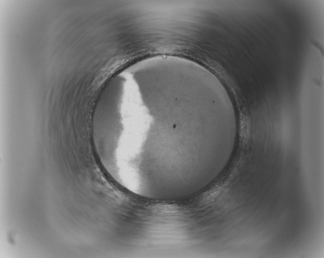 X0000103930577200810171754