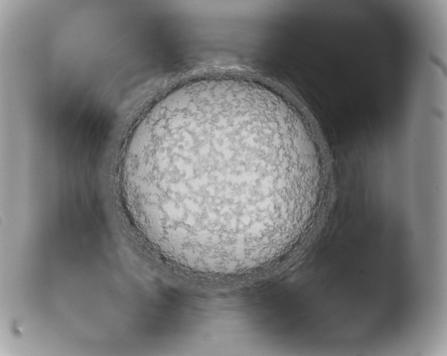 X0000103930579200810171754