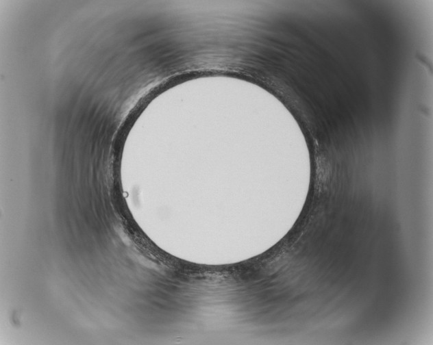 X0000103930580200810171754