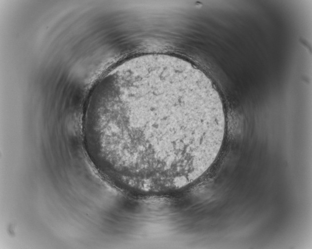 X0000103930581200810171754