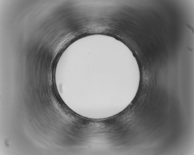 X0000103930582200810171754