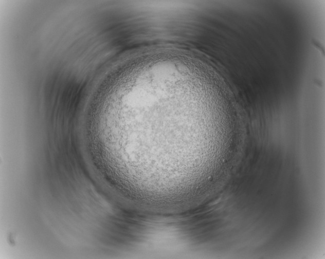 X0000103930583200810171754