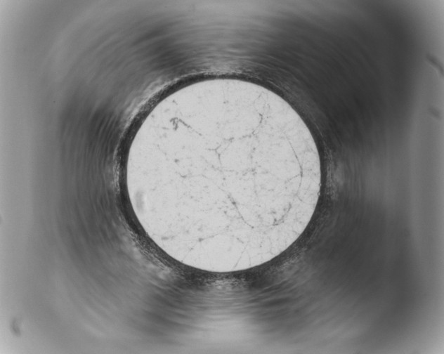 X0000103930584200810171754