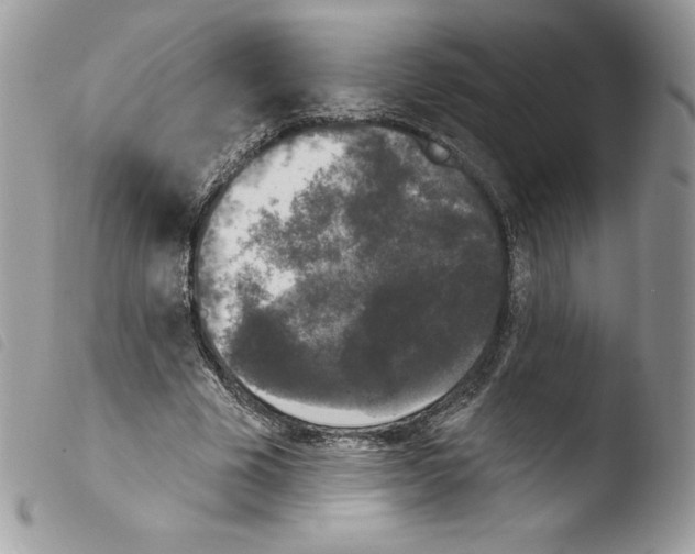 X0000103930585200810171754