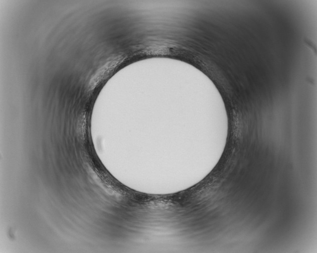 X0000103930586200810171754