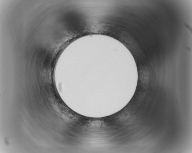 X0000103930587200810171754