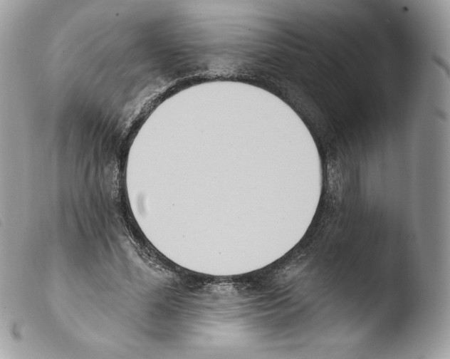 X0000103930588200810171754