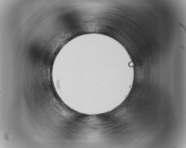 X0000103930589200810171754