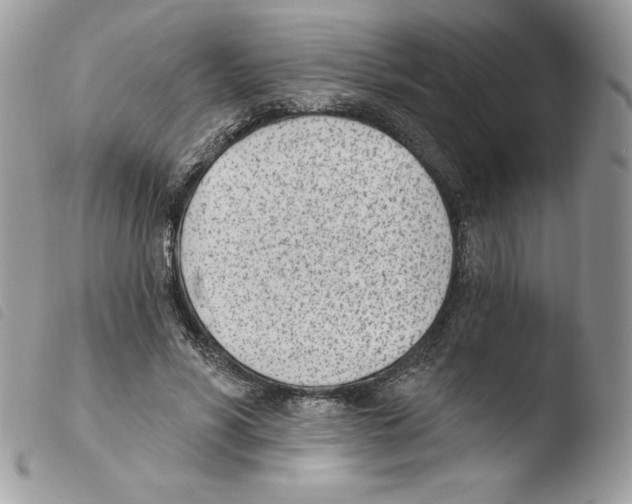 X0000103930590200810171753