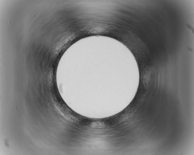 X0000103930591200810171753