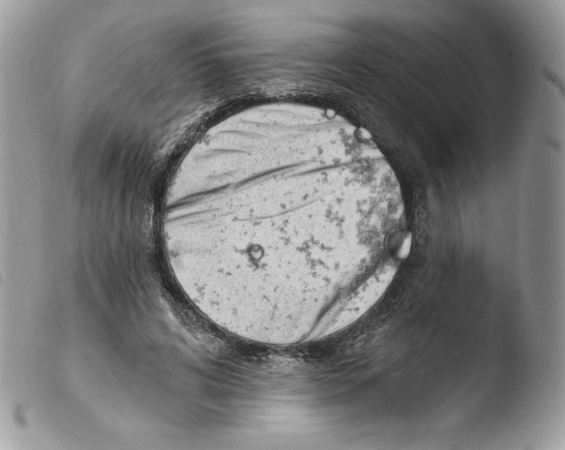 X0000103930592200810171753