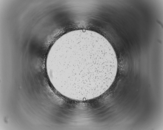 X0000103930593200810171753