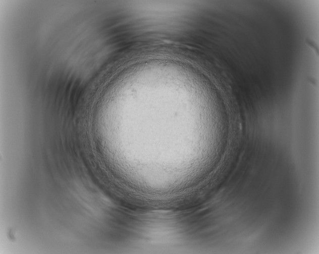 X0000103930595200810171753